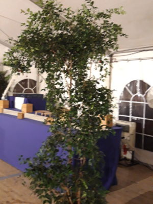 plante-artificielle - Copie